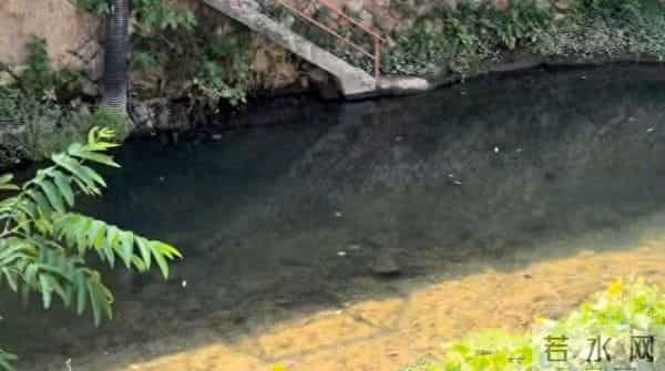 俄媒称朝高官访俄时溺水遇难