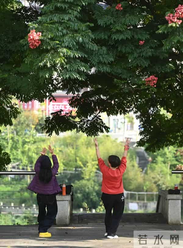 疫情下的成都-市民有序购物