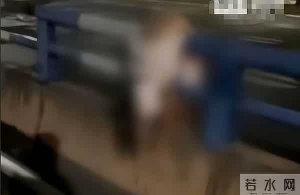 重庆隧道内两摩托相撞起火 现场惨烈