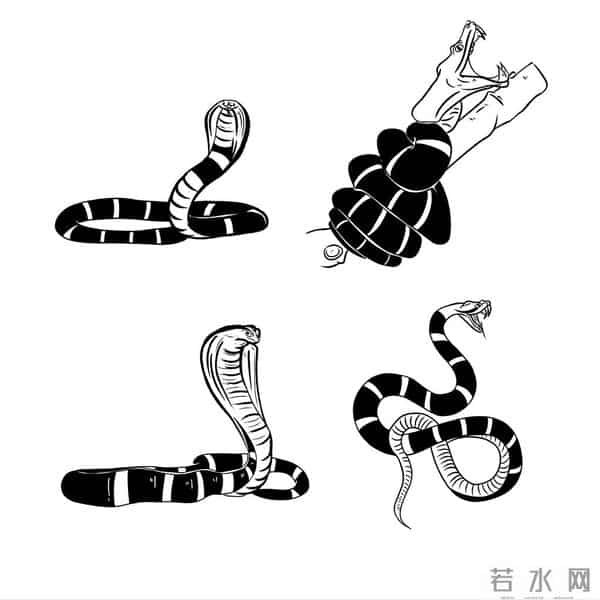 8条傻蛇集体社死偷鸡不成全被困