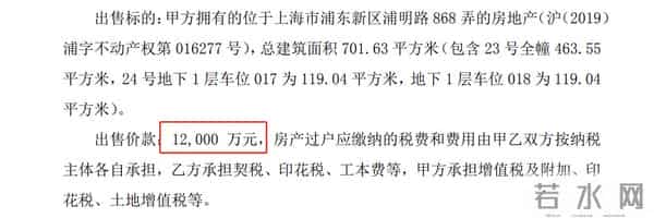 富豪1.2亿买江景豪宅