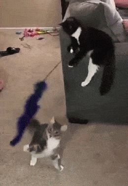 大妈跳广场舞把孩子栓栏杆上