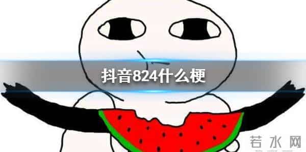 824是什么意思