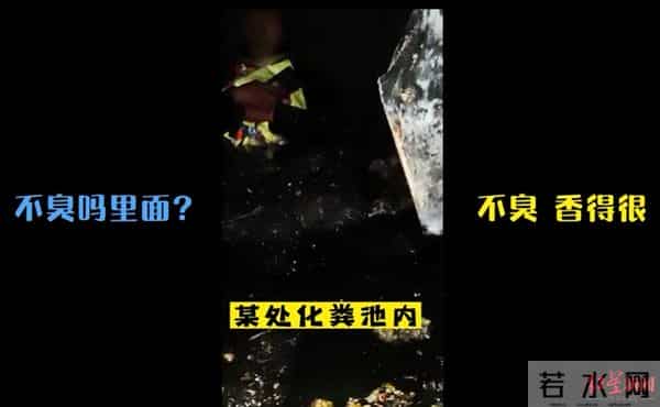 醉驾男子为躲检查跳进化粪池