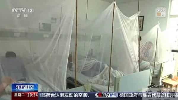 本土感染连续3天超500例 涉19省份
