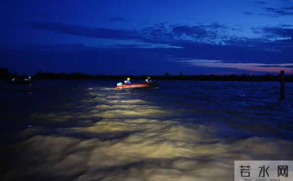 洞庭湖决堤后动物们水中求生