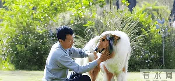 女子种地老公辞职支持