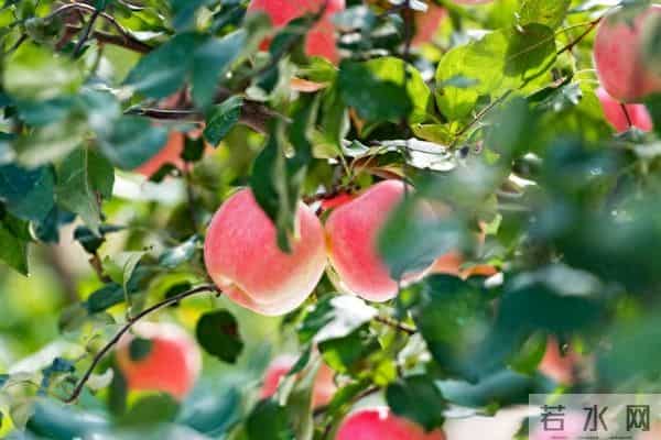 正午时分长沙变黑夜