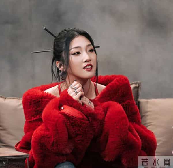 火箭少女十家粉丝