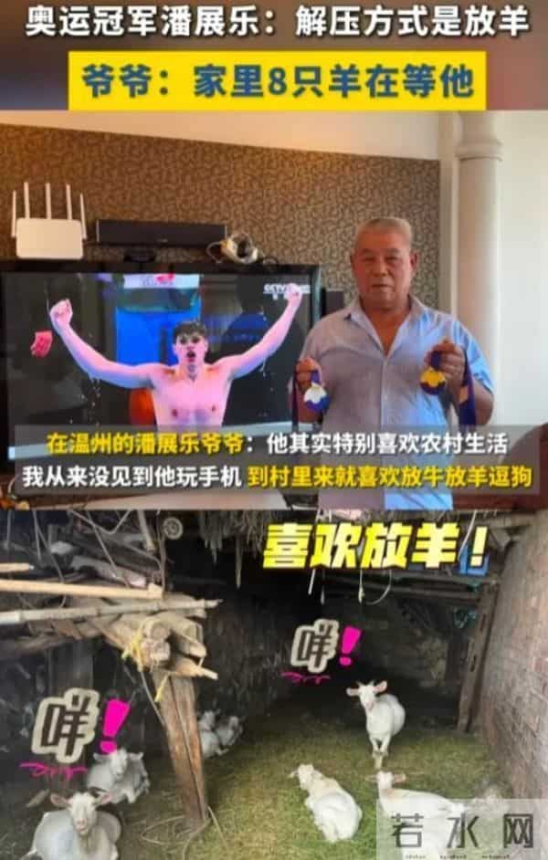 爷爷熬夜见证潘展乐破世界纪录