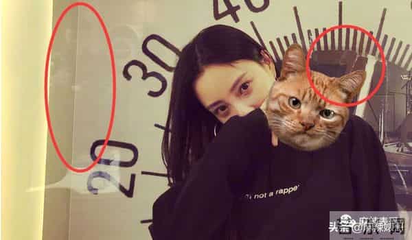 刘洲成被曝出轨