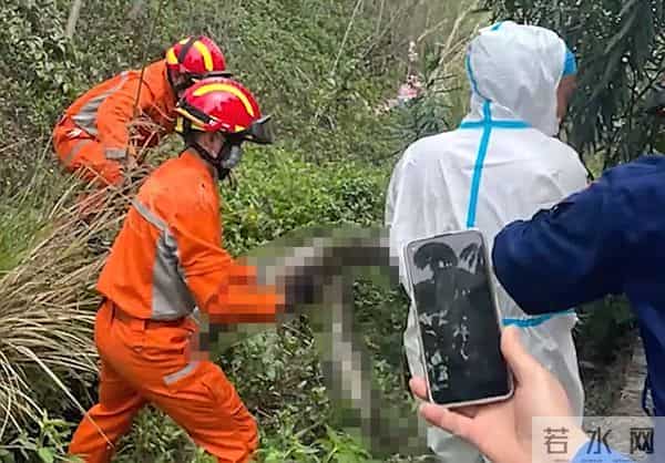 深圳工地现50斤蟒蛇