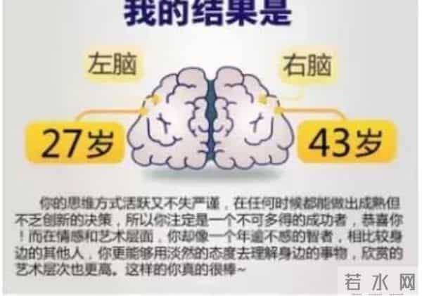 左右脑年龄测试