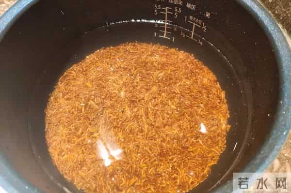 袁隆平念念不忘的海水稻新米要上市