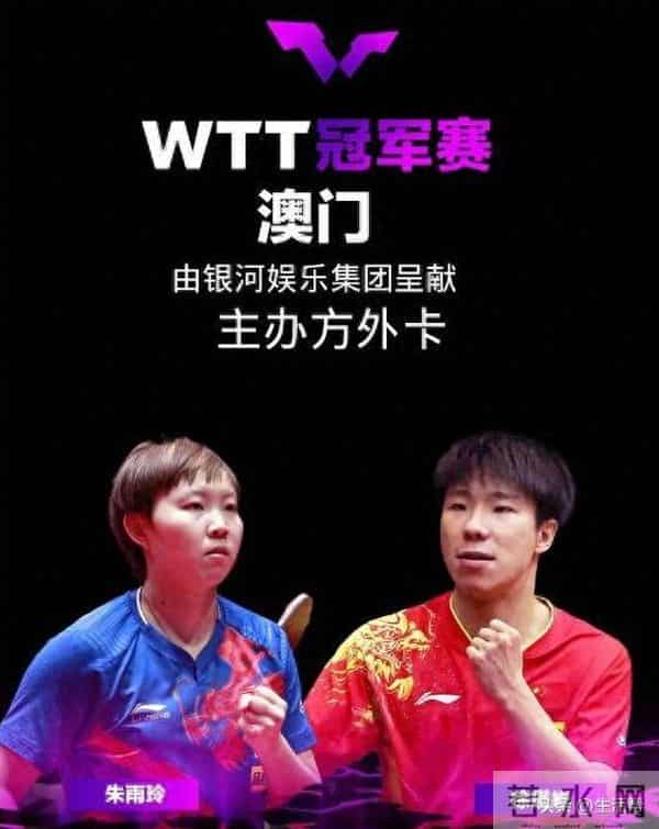 国乒世界冠军退役后再复出