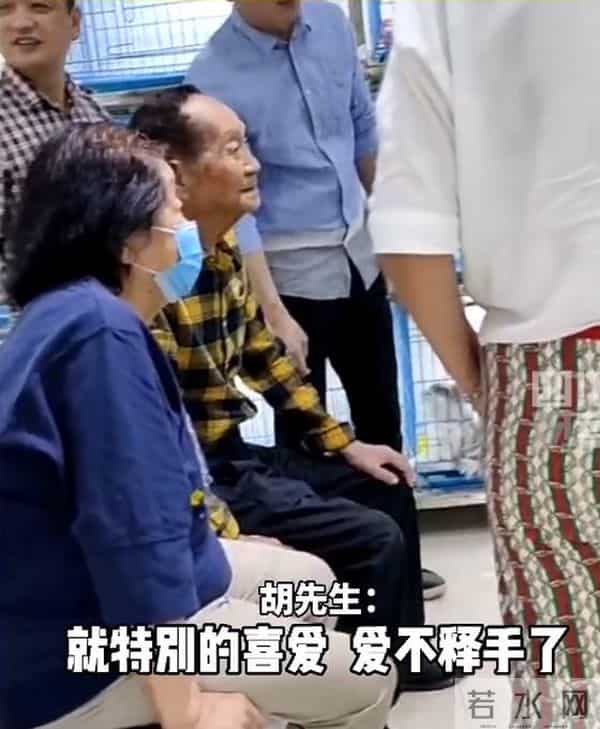 袁花花再也无法陪袁隆平听汇报了