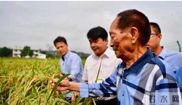 袁隆平去世辟谣
