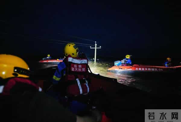 洞庭湖决堤后动物们水中求生