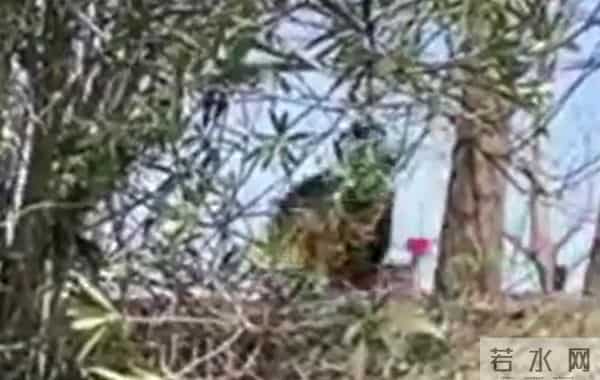 女子被老头骚扰称过来玩玩