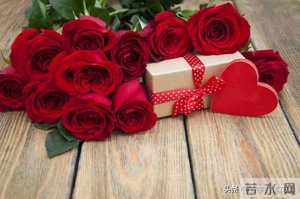 七朵玫瑰代表什么