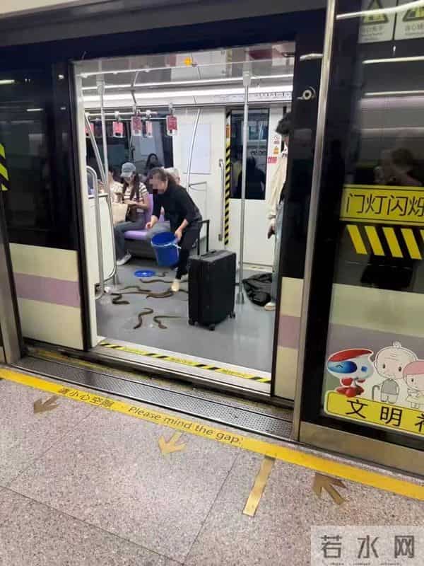 上海地铁一安检员上班睡觉