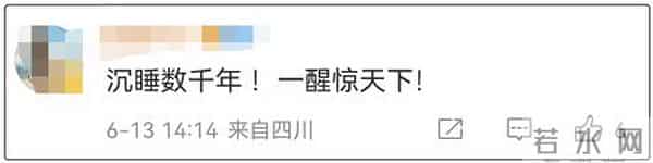 三星堆神兽似小猪佩奇