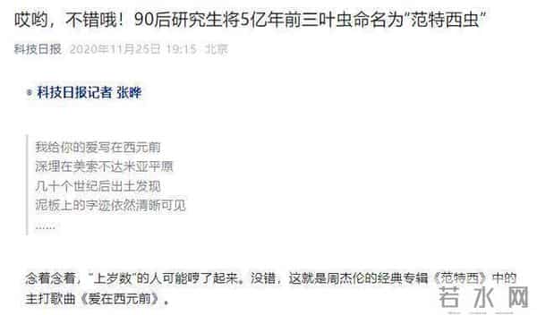 16首周杰伦的歌命名16个蜘蛛新种