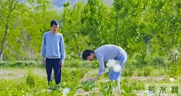 女子种地老公辞职支持