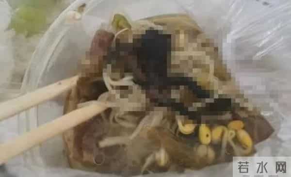 女子点外卖里面竟有只癞蛤蟆