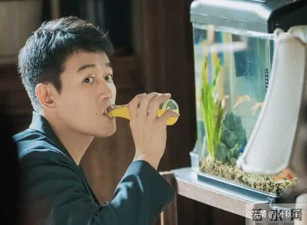 玫瑰的故事大结局名场面来了