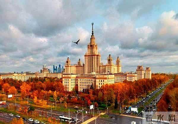 两象打架一象中间劝和