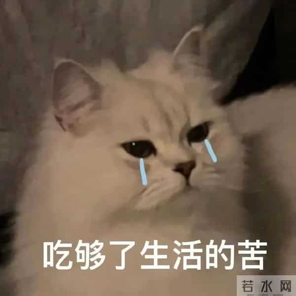 2岁女孩把蛇干当玩具吓跑妈妈