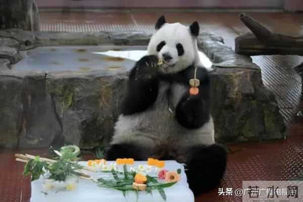 直击端午全国人从众