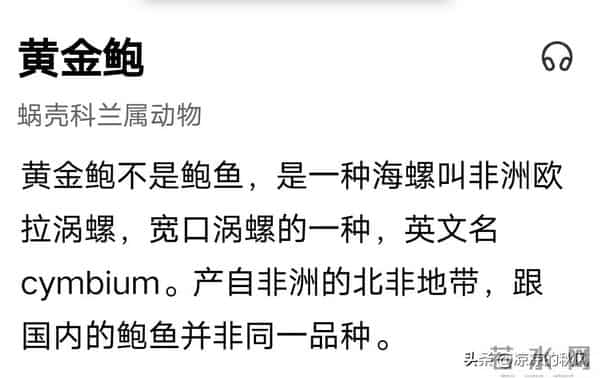 海鲜加工厂的狠活-硼砂泡出黄金鲍