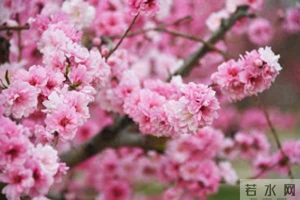 男生患桃花癫感觉全校女生喜欢自己