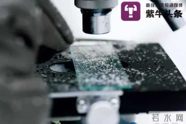 北京的雪 显微镜100倍拍摄