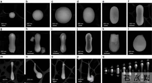 被美国的嫦娥惊艳了