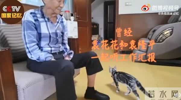 袁花花再也无法陪袁隆平听汇报了