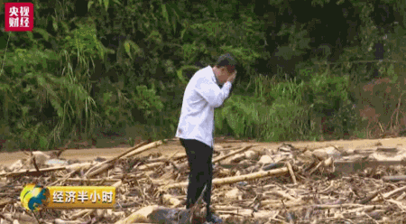 暴雨冲走养殖户百万元中华鲟鱼