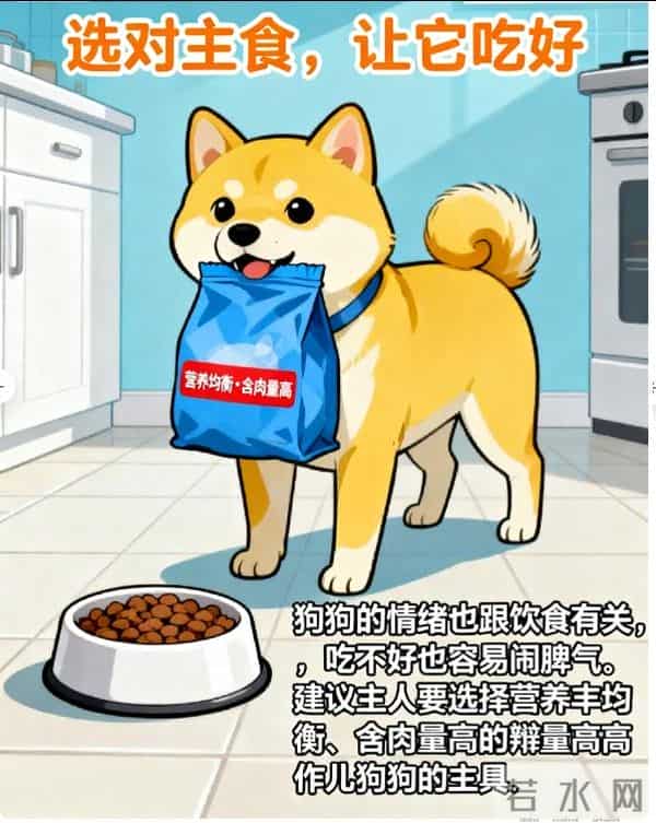 3斤小狗舔5斤大鱼被鱼尾抽翻