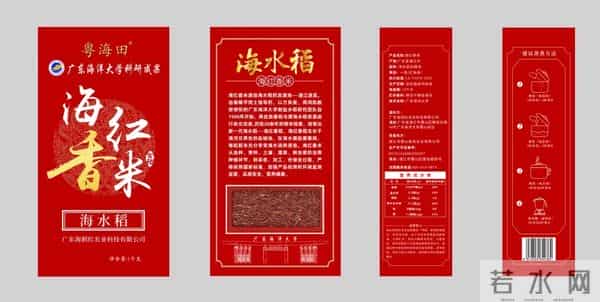 袁隆平念念不忘的海水稻新米要上市