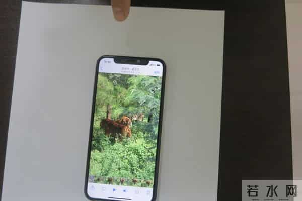 男子自称上山捡菌遇老虎 警方-行拘