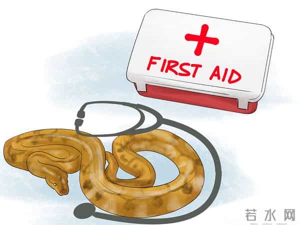 深圳工地现50斤蟒蛇