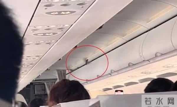 东航客机高空飞行时舱内飞出小鸟