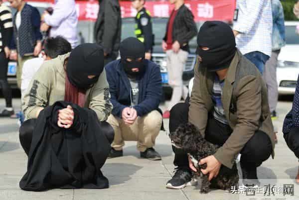 吉林男子藏枪225支