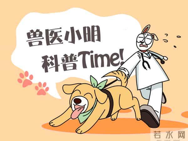 土狗被扔50公里外一星期后跑回家