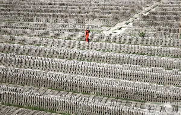 乌攒大量代孕新生儿