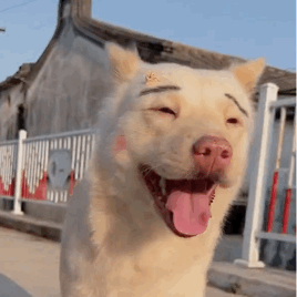 山东一地上空出现超大圆环彩虹