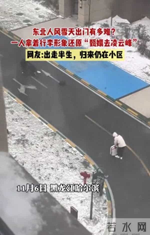 东北暴雪天出门堪比取经