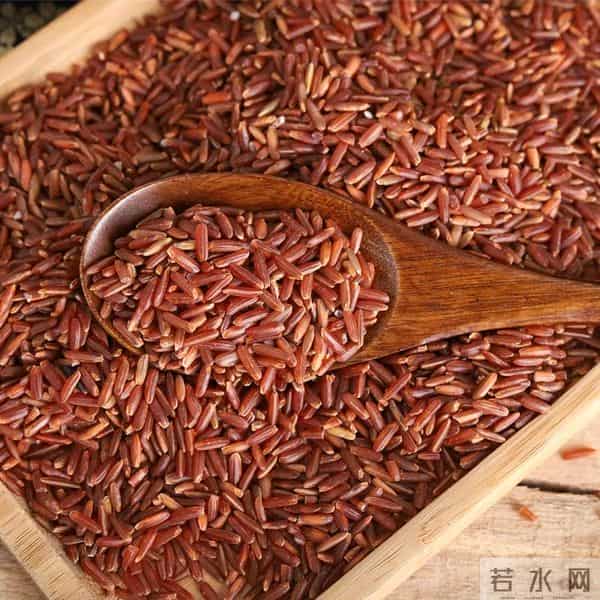 袁隆平念念不忘的海水稻新米要上市